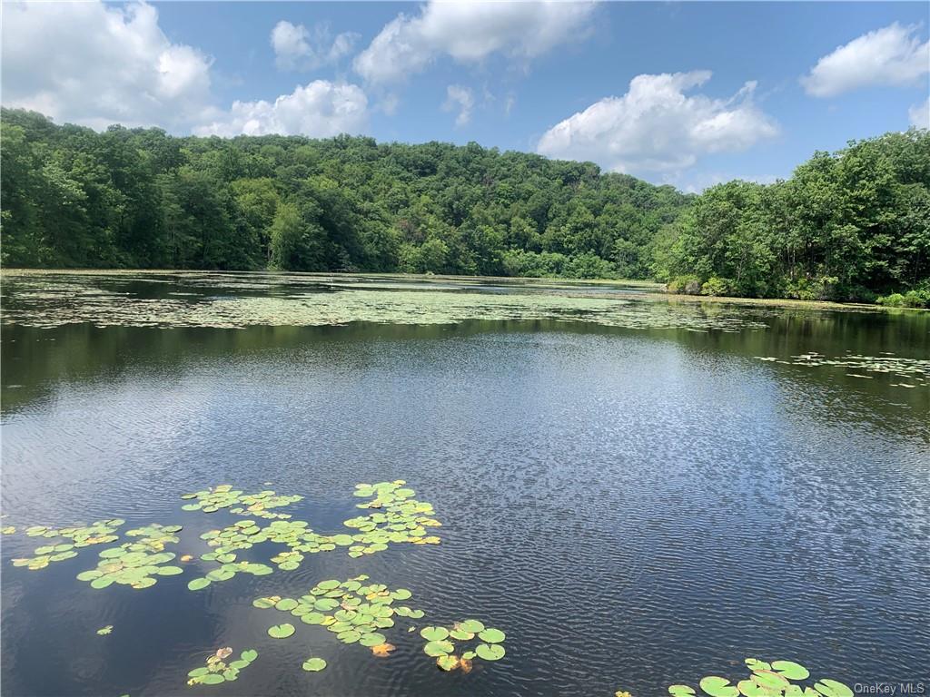 Land Pierson Lakes  Rockland, NY 10974, MLS-H6255156-11