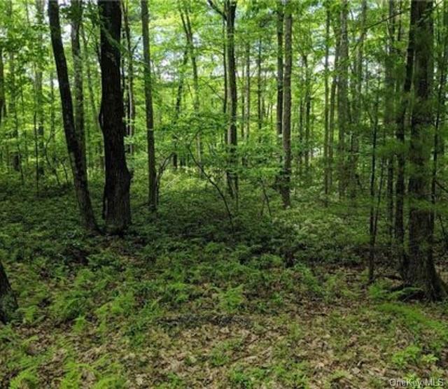 Land Allen  Sullivan, NY 12790, MLS-H6233173-11