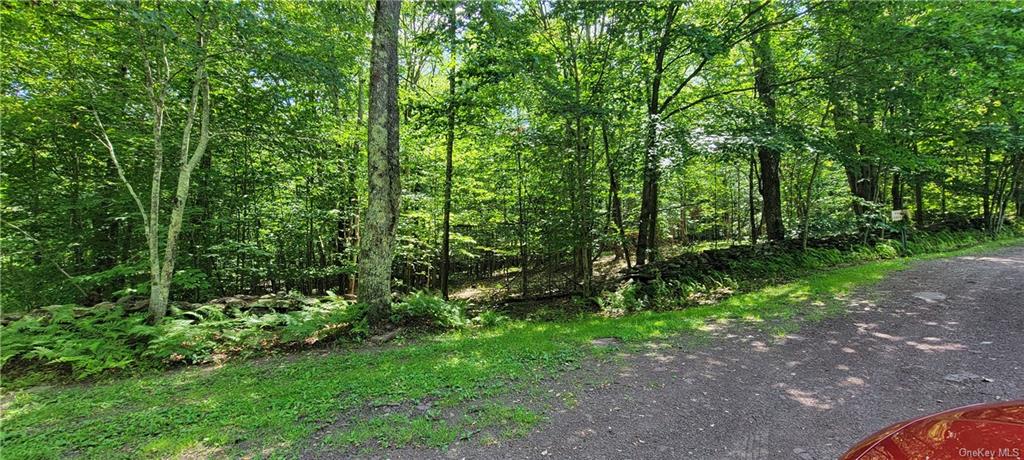 Land Westervelt  Sullivan, NY 12726, MLS-H6264186-11