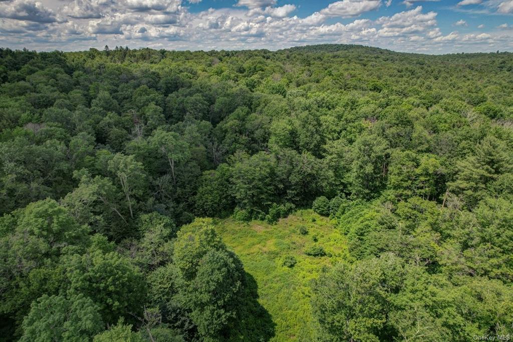 Land N/s French Clearing  Sullivan, NY 12777, MLS-H6195187-11