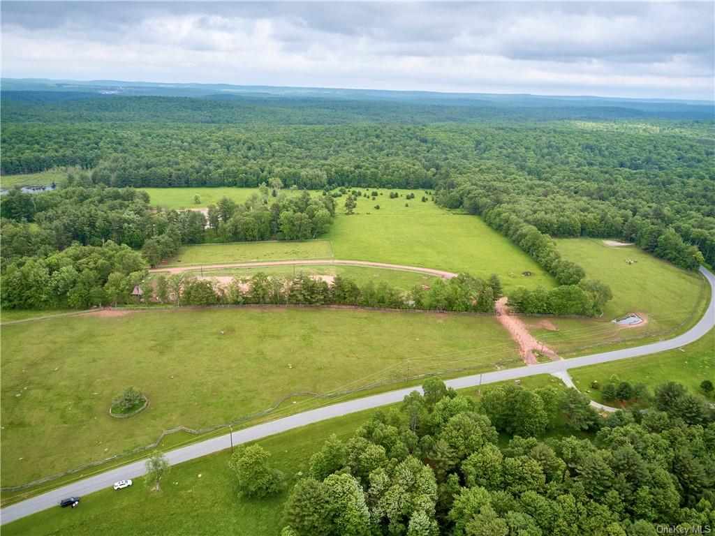 Land Chapin  Sullivan, NY 12720, MLS-H6204195-11