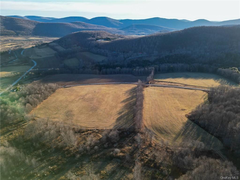 Land Mcmurdy Brook  Delaware, NY 13788, MLS-H6227237-11