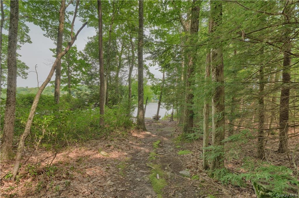 Land Shore  Sullivan, NY 12790, MLS-H6174271-11