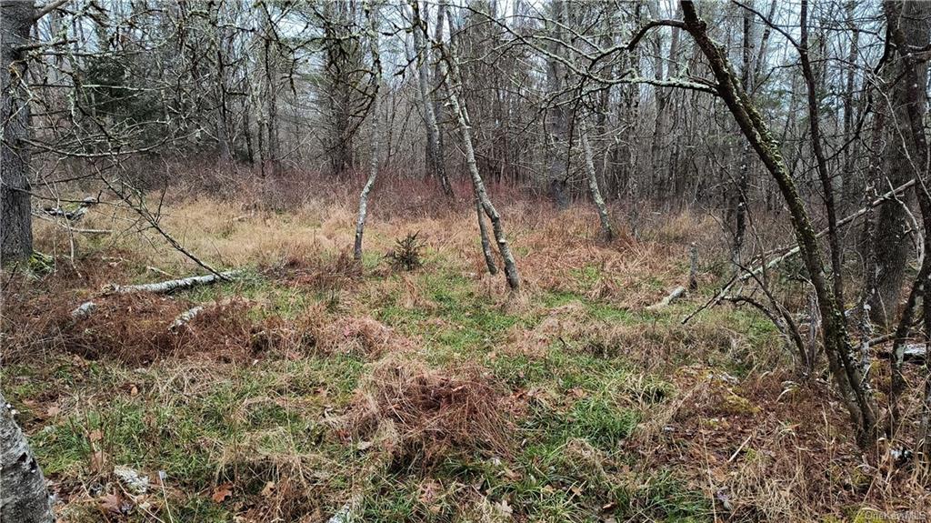 Land New Turnpike A  Sullivan, NY 12726, MLS-H6281364-11