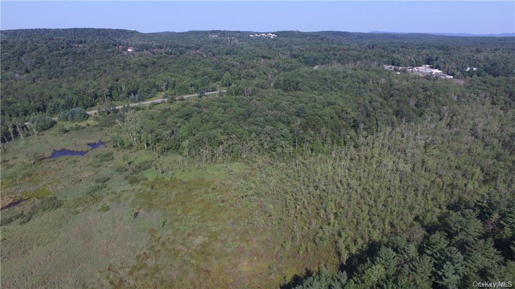 Land Heiden  Sullivan, NY 12733, MLS-H6212378-11