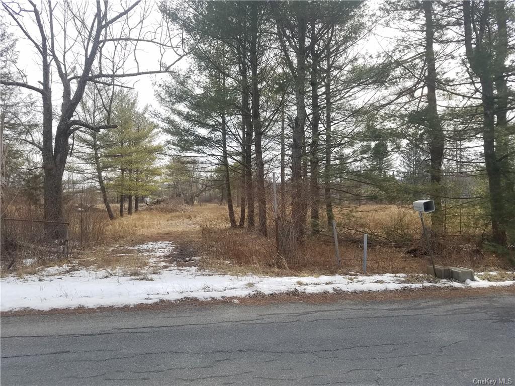 Land Lanahan  Sullivan, NY 12701, MLS-H6239382-11