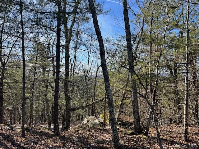 Land Route 28a  Ulster, NY 12443, MLS-H6278433-11