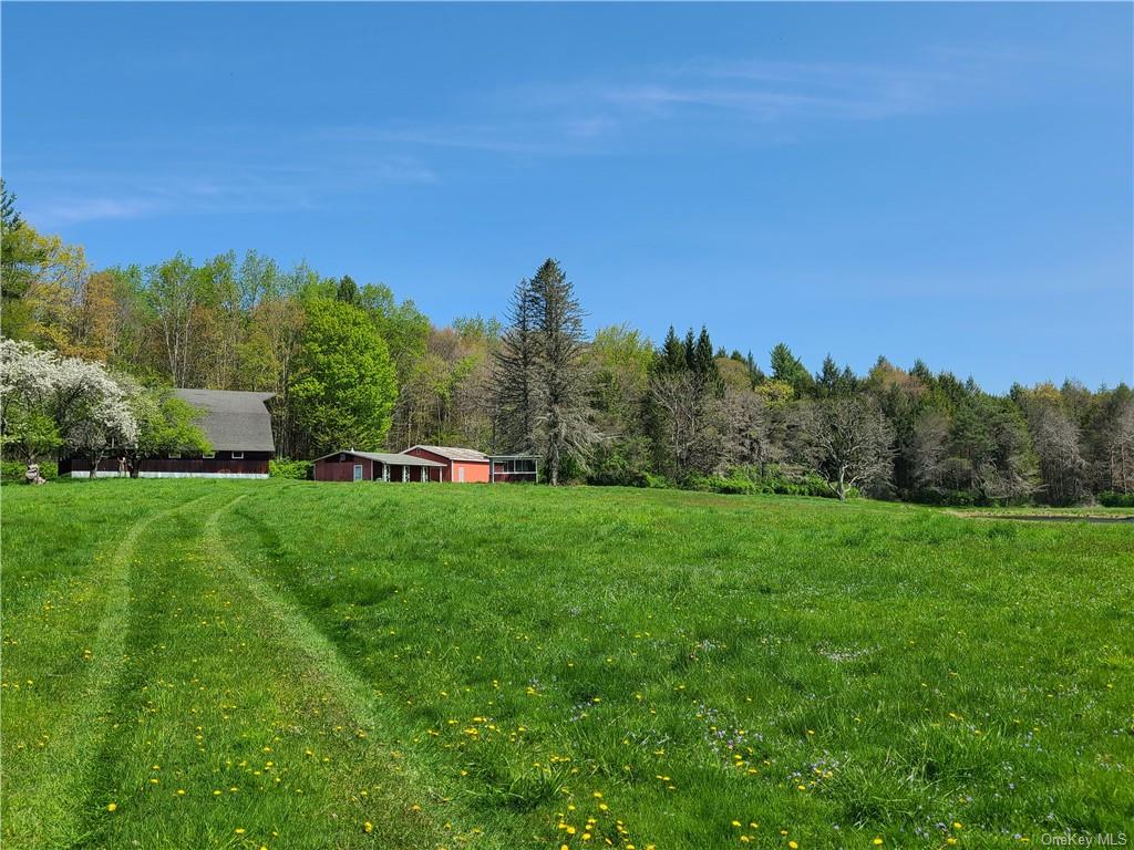 Single Family County Route 132  Sullivan, NY 12723, MLS-H6266438-11