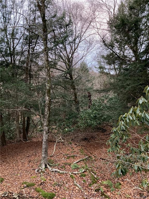 Land Kenoza  Sullivan, NY 12750, MLS-H6271467-11