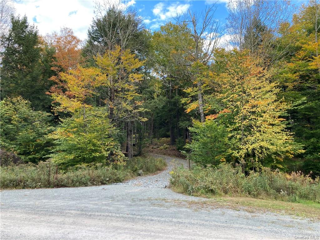 Land Kenoza  Sullivan, NY 12750, MLS-H6271468-11