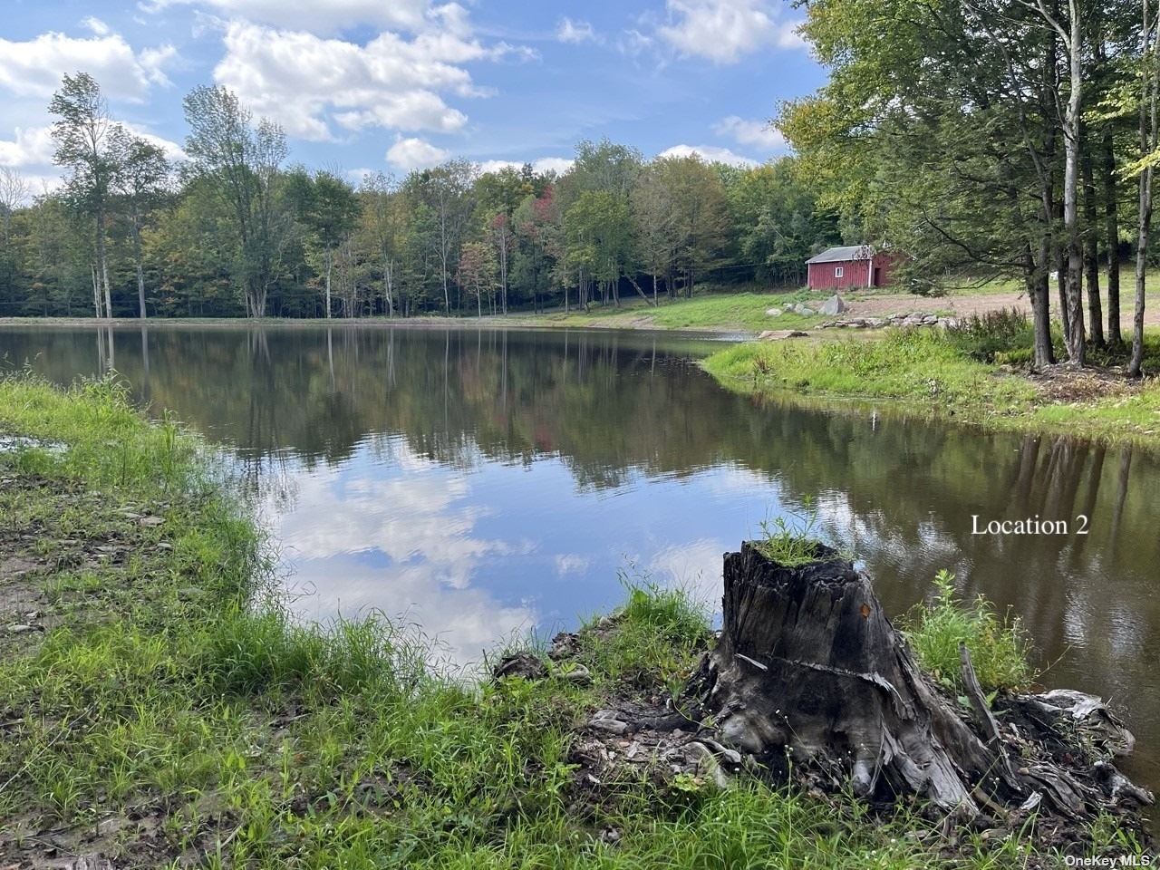 Land Tanzman  Sullivan, NY 12768, MLS-3506472-11