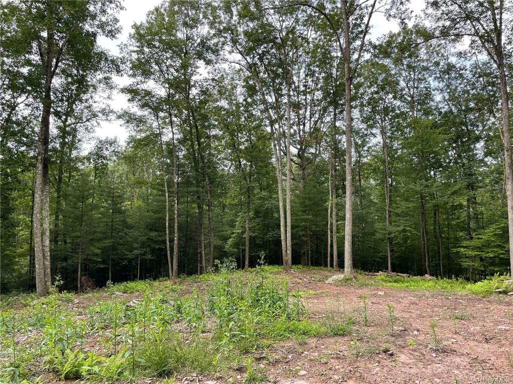 Land Naomi Dr / State Route 97  Sullivan, NY 12726, MLS-H6267505-11