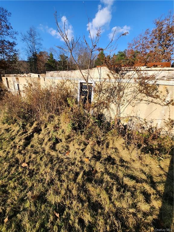 Land Smith  Out Of Area, NY 12469, MLS-H6278519-11