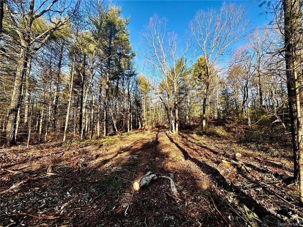 Land Hartwood  Sullivan, NY 12777, MLS-H6239524-11