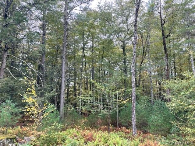 Land Chapin  Sullivan, NY 12720, MLS-H6273528-11