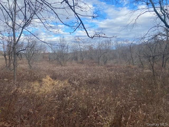 Land Us Highway 9w  Ulster, NY 12528, MLS-H6279528-11