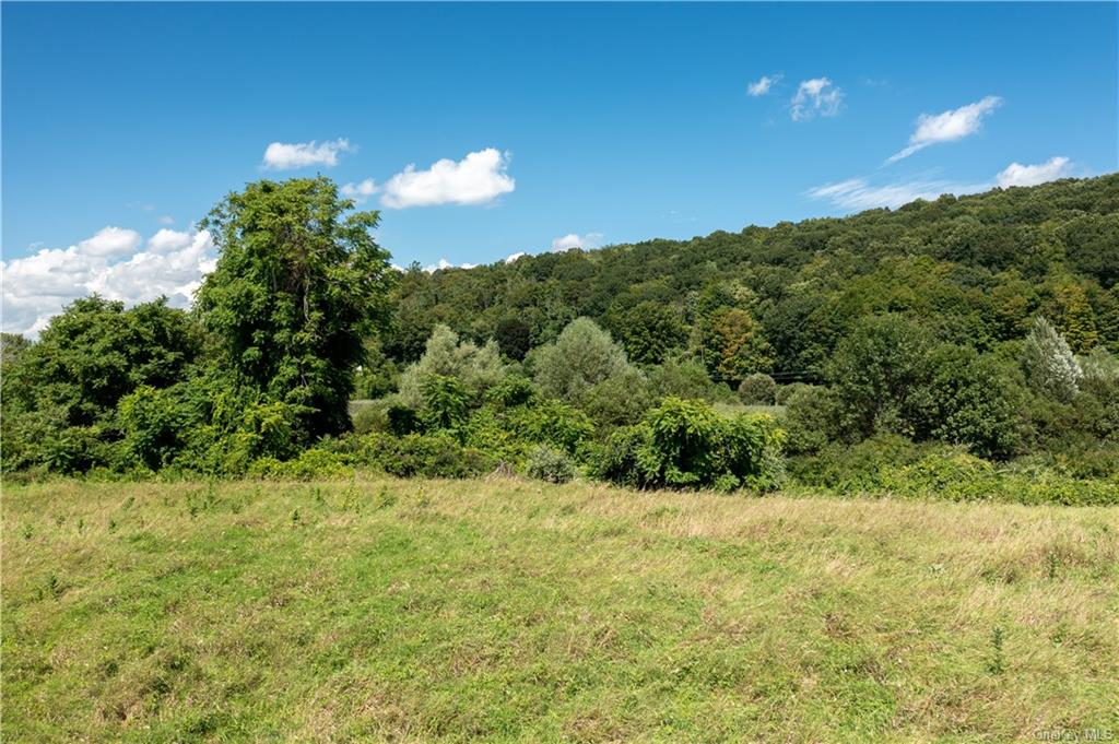 Land Route 22  Putnam, NY 12563, MLS-H6264538-11