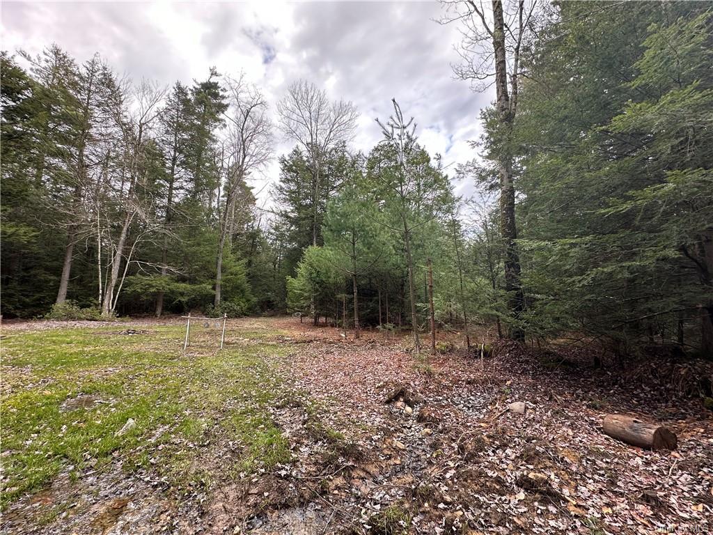 Land Ulster Heights  Ulster, NY 12489, MLS-H6274556-11