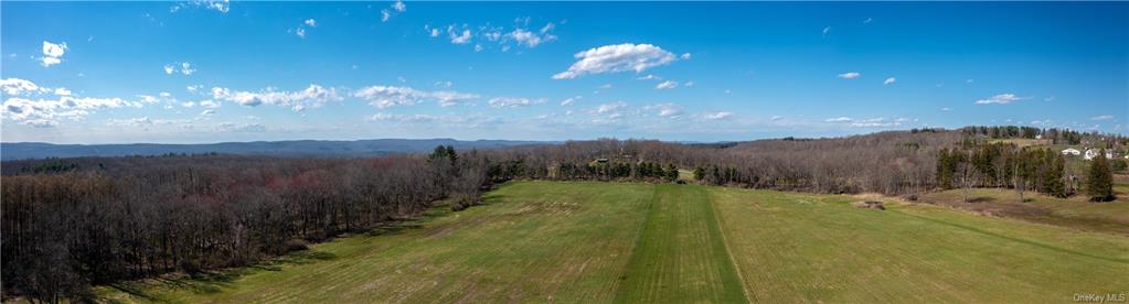 Land Old Quaker Hill  Dutchess, NY 12564, MLS-H6273564-11