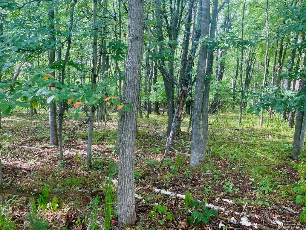 Land Broadway  Sullivan, NY 12701, MLS-H6239591-11