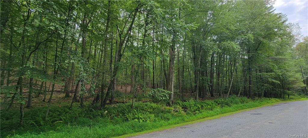 Land Hawks Nest  Out Of Area, NY 18428, MLS-H6265593-11