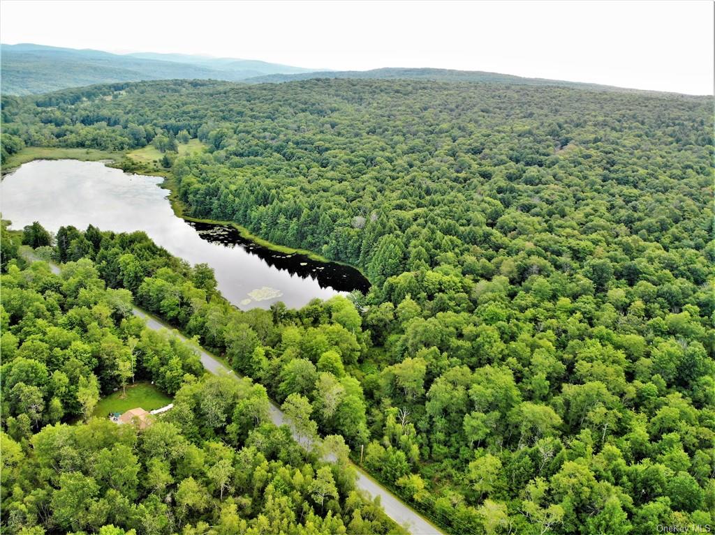 Land Beaver Lake  Sullivan, NY 12758, MLS-H6232604-11