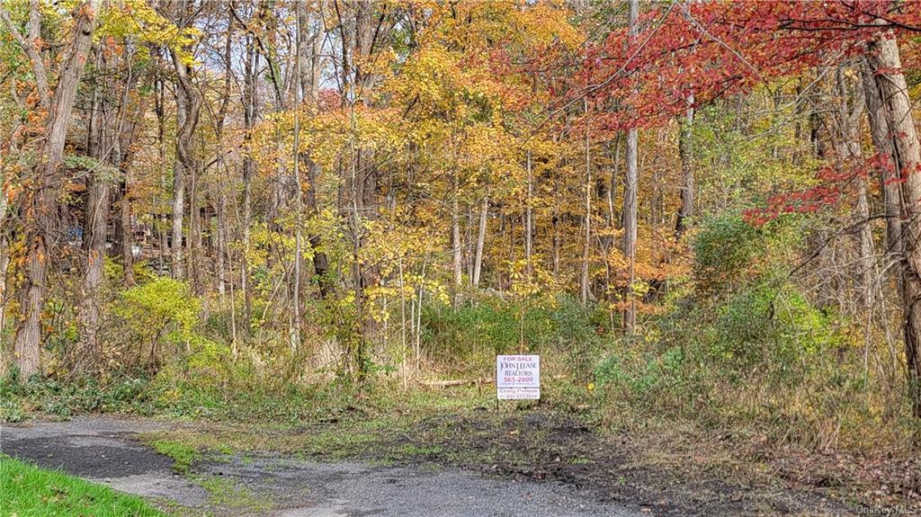 Land Western  Orange, NY 12586, MLS-H6275607-11