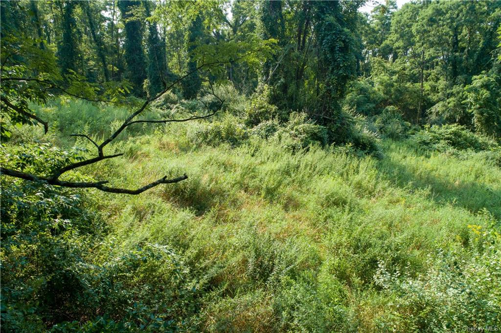 Land Ravine  Dutchess, NY 12564, MLS-H6072629-11