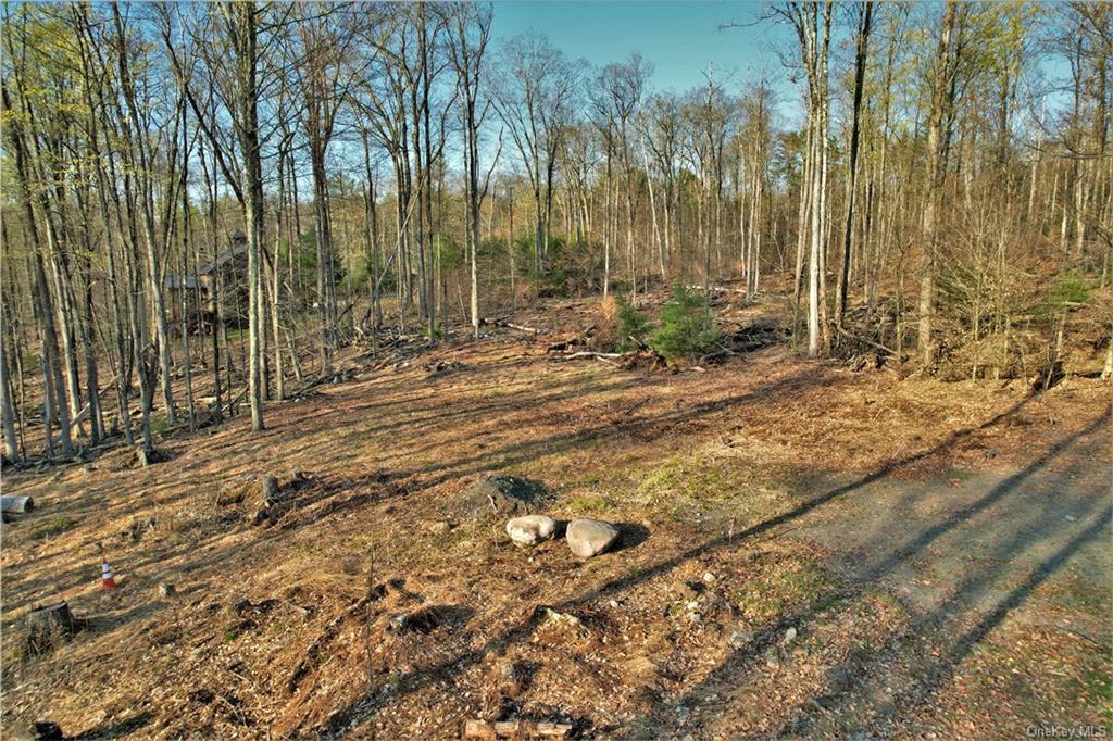 Land Plank  Sullivan, NY 12777, MLS-H6266634-11