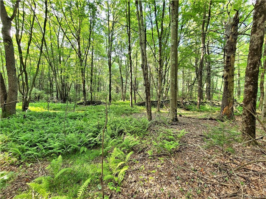 Land Mitchell  Sullivan, NY 12786, MLS-H6243649-11