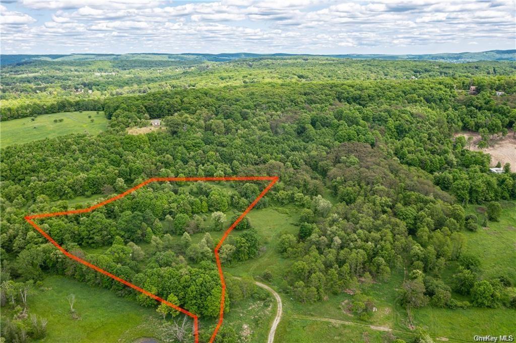 Land Willow Pond  Dutchess, NY 12540, MLS-H6271665-11