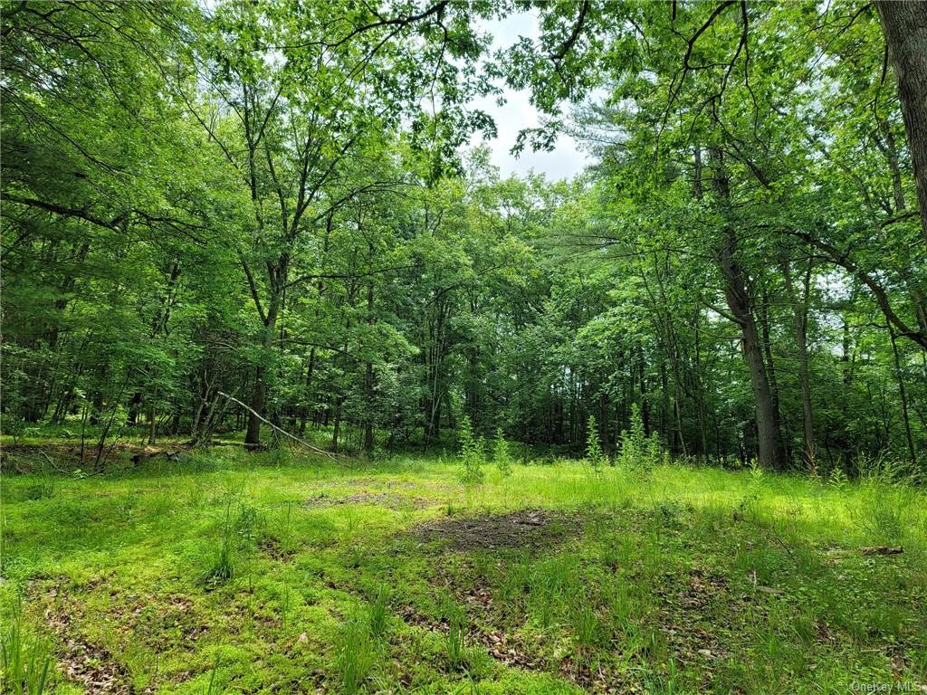 Land Route 97  Sullivan, NY 12764, MLS-H6257688-11