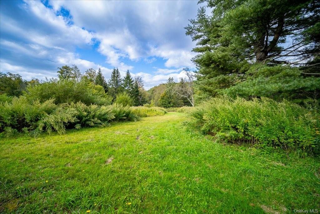 Land Old Liberty  Sullivan, NY 12758, MLS-H6269690-11