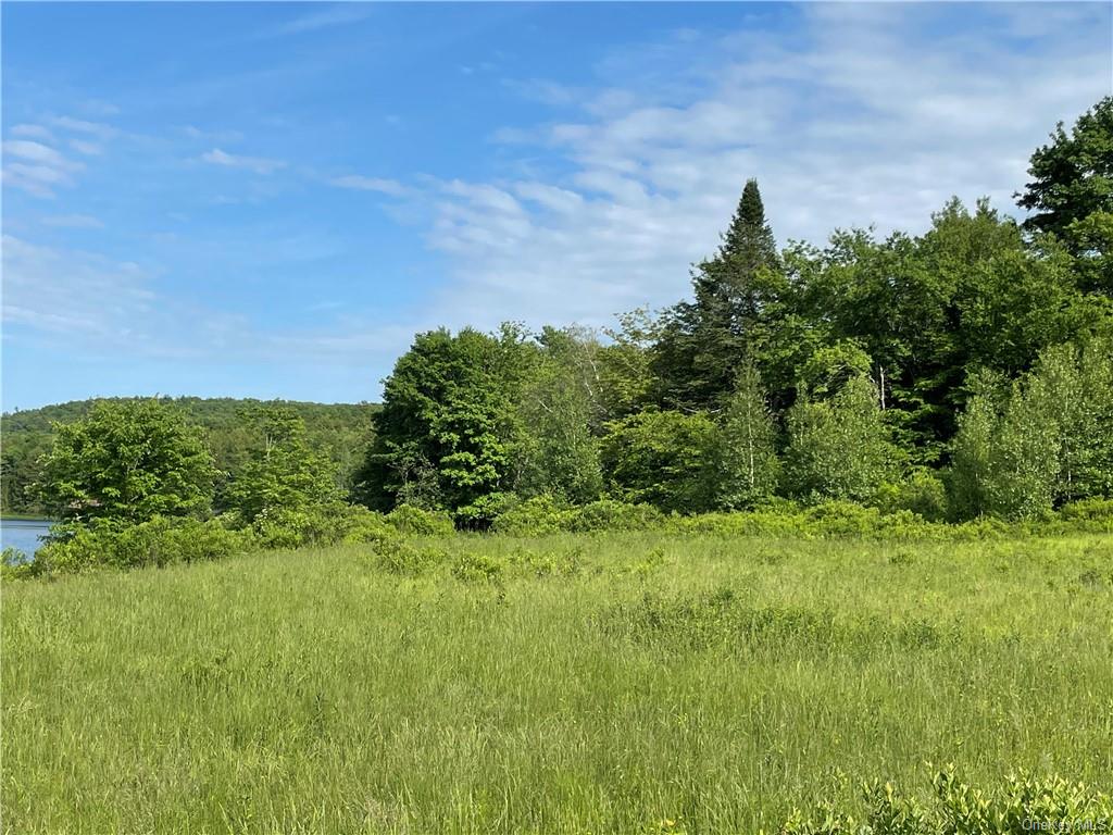 Land Tanzman  Sullivan, NY 12768, MLS-H6123698-11