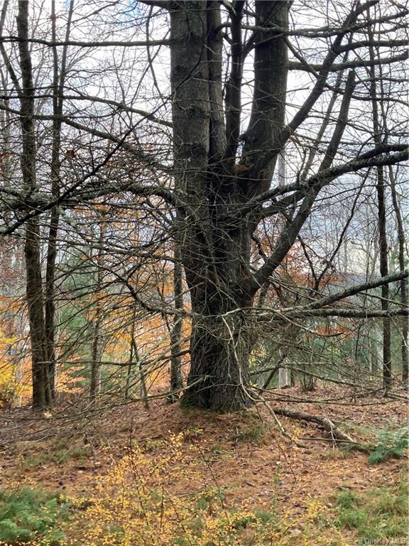 Land Plank  Sullivan, NY 12762, MLS-H6274706-11