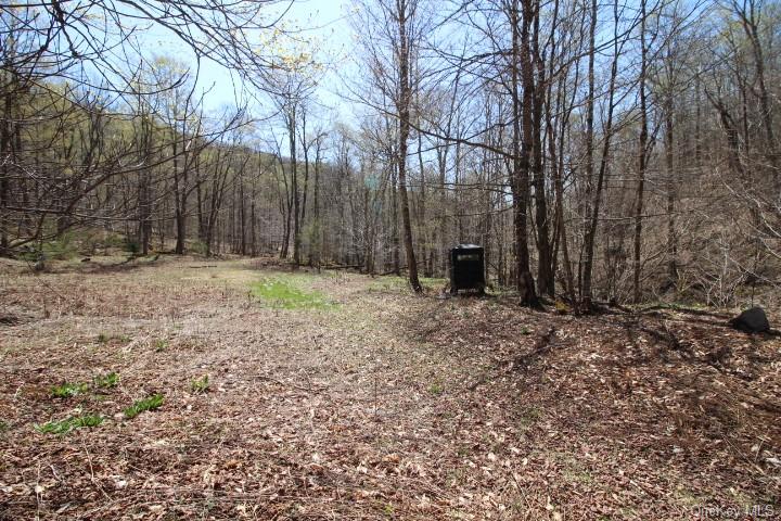 Land Cattail  Sullivan, NY 12758, MLS-H6244708-11