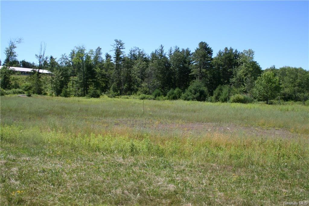 Land Nys Route 17b  Sullivan, NY 12701, MLS-H6273719-11