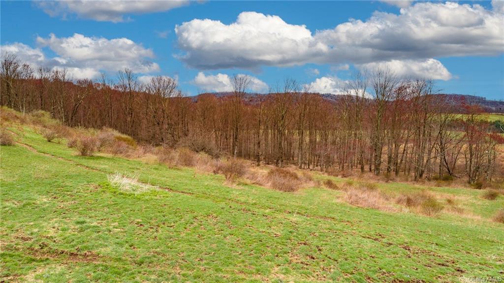 Land Peters  Sullivan, NY 12736, MLS-H6256722-11