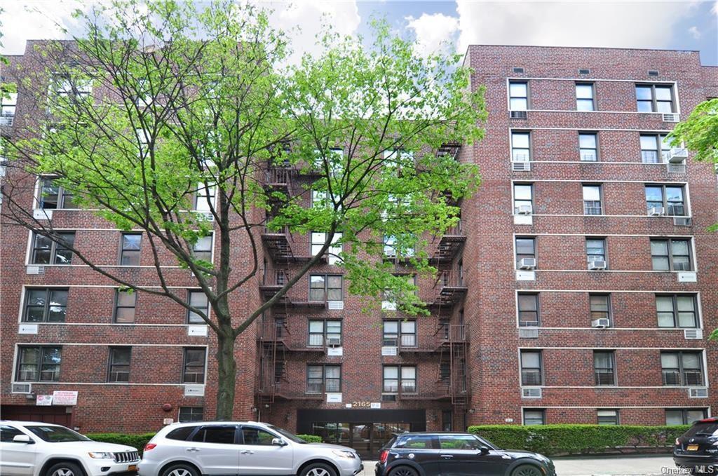 Apartment Matthews  Bronx, NY 10462, MLS-H6256732-11