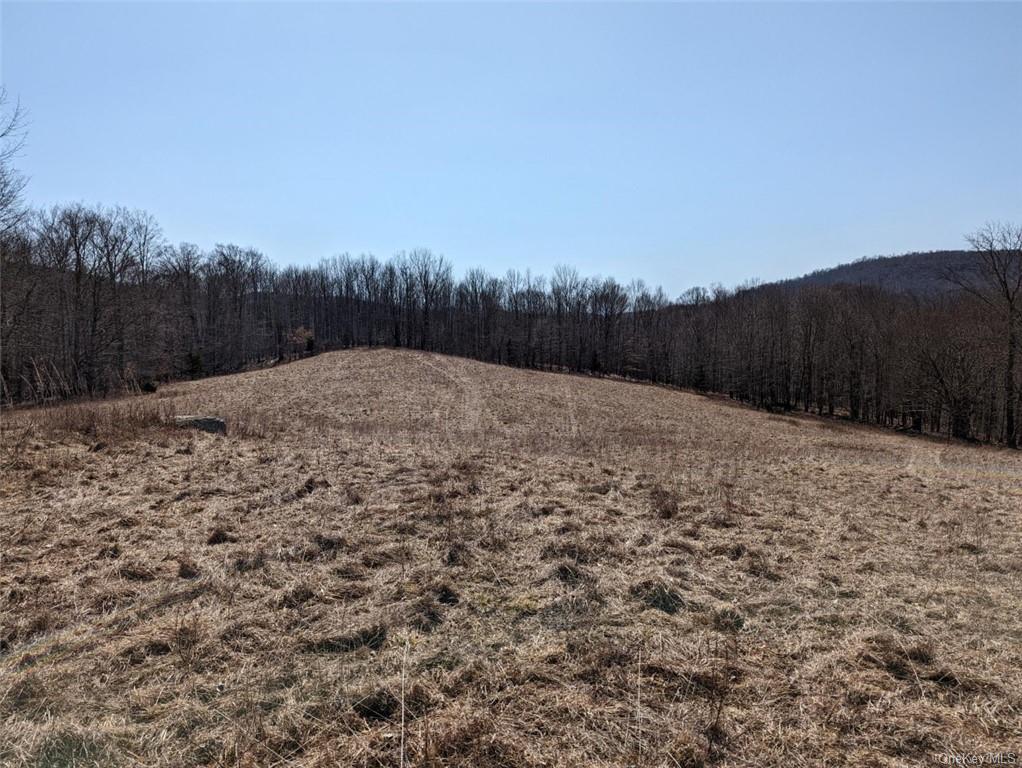 Land 0 Buck Brook Rd Tr10  Sullivan, NY 12736, MLS-H6172755-11