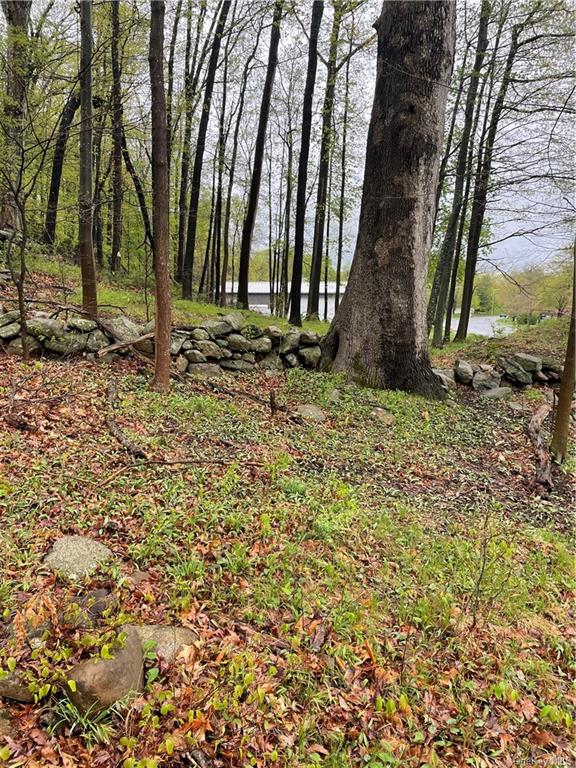 Land Front  Westchester, NY 10598, MLS-H6244777-11