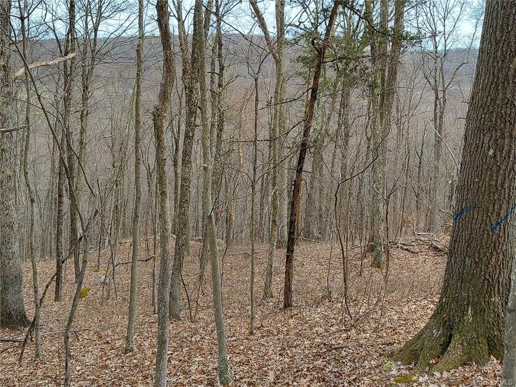 Land Grape Hollow  Dutchess, NY 12531, MLS-H6241803-11