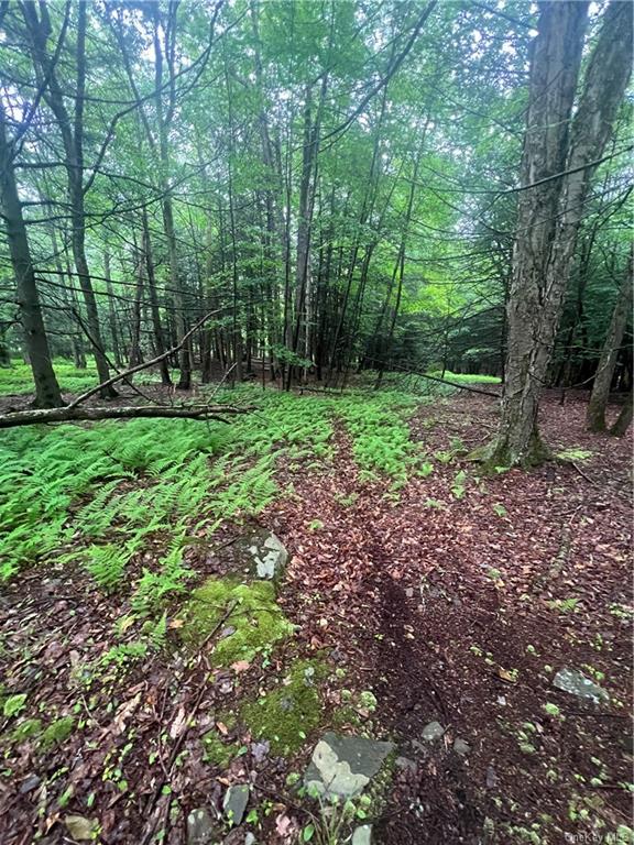 Land Big Hollow  Sullivan, NY 12765, MLS-H6256806-11