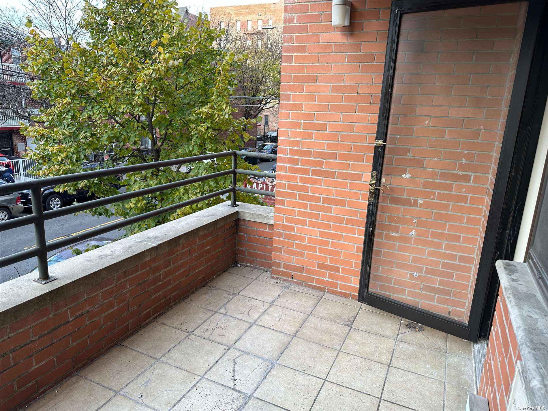 Apartment Whitney Avenue  Queens, NY 11373, MLS-3516807-11