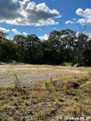 Land Yaphank  Suffolk, NY 11763, MLS-3510812-11