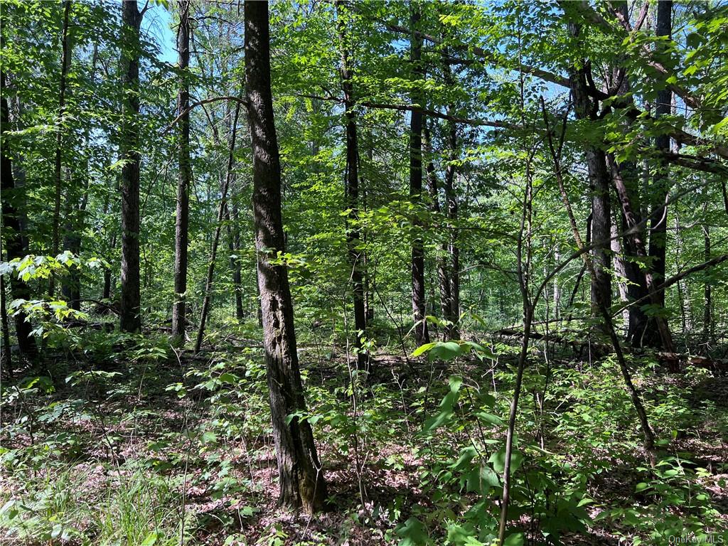 Land Gables  Sullivan, NY 12764, MLS-H6252813-11