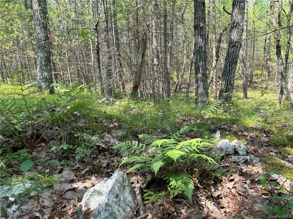 Land Clendening  Ulster, NY 12484, MLS-H6259859-11