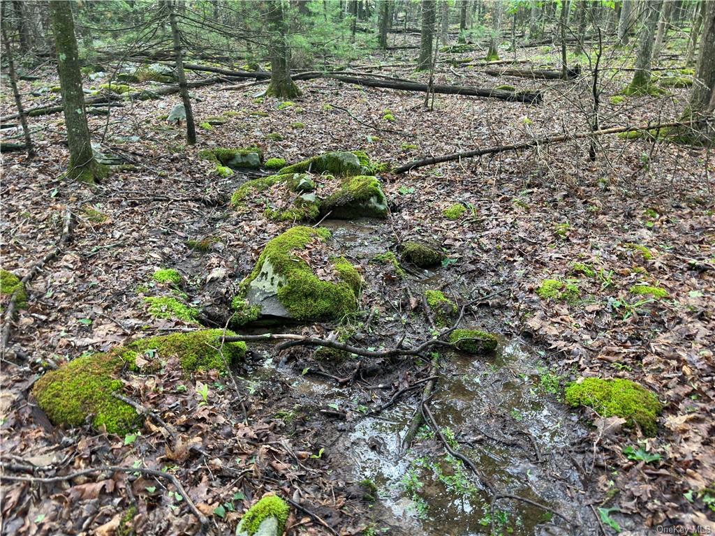 Land State Route 55  Sullivan, NY 12719, MLS-H6256862-11