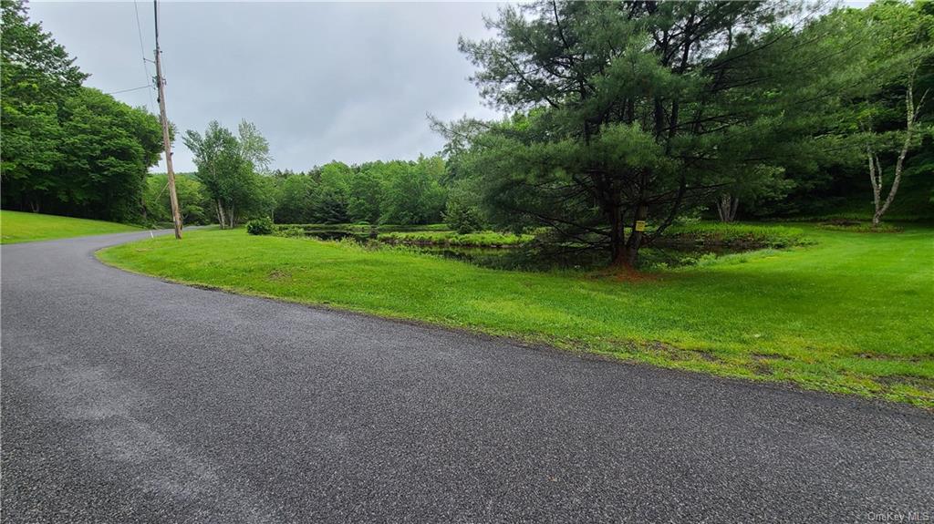 Land Dingle Daisy  Sullivan, NY 12701, MLS-H6204867-11