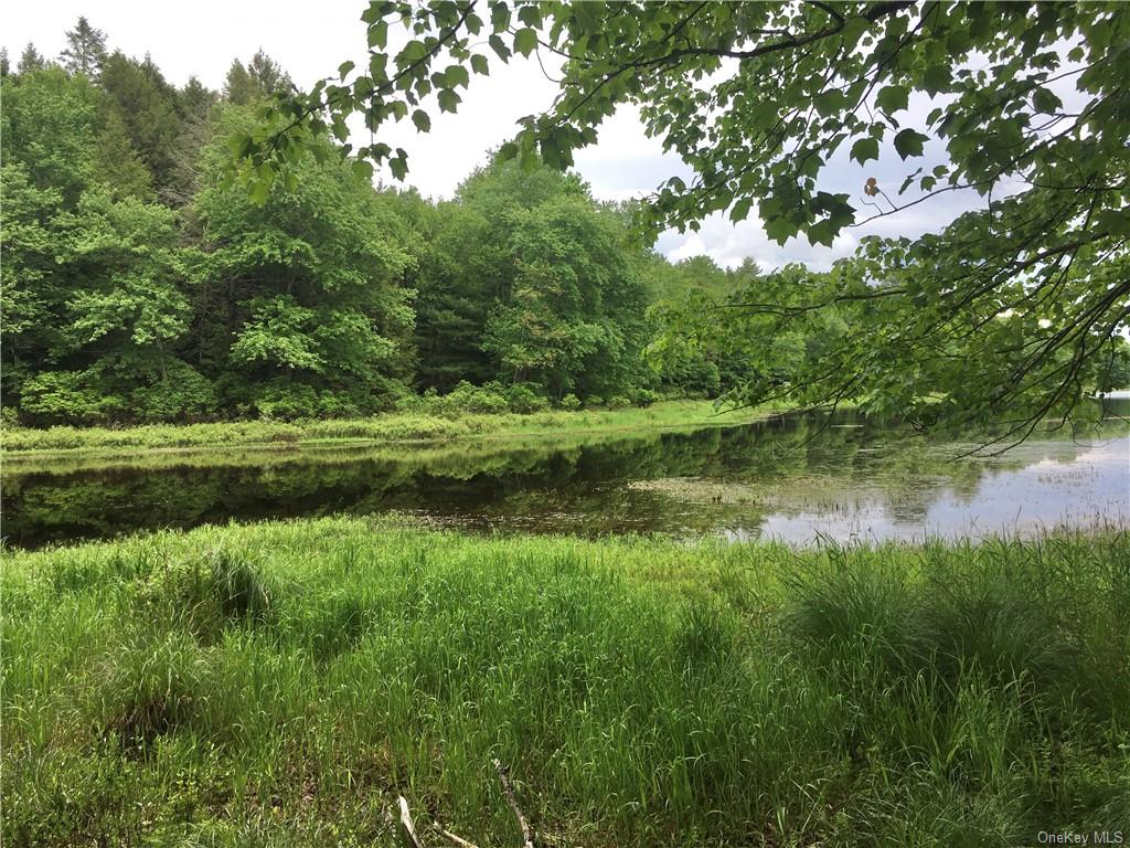 Land Cty Hwy 141 - Horseshoe Lake Rd Lots 10.7 & 10.9  Sullivan, NY 12720, MLS-H6240873-11